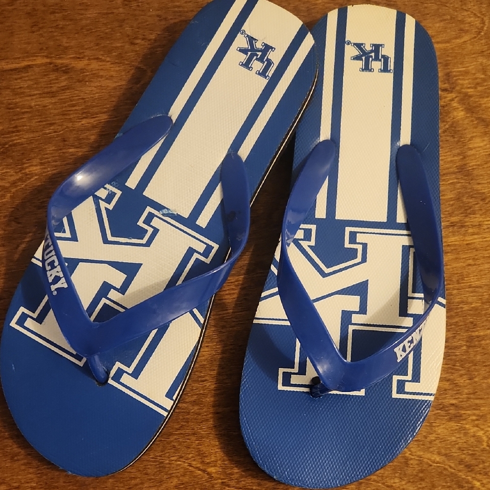Blue and White Flip Flops